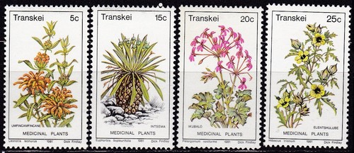 Transkei 1980 mnh - transkei,, 88-91,