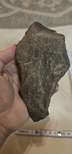 XL Biface Handaxt Quarzit Steinzeit Werkzeug Paleo Mineral Fossil Mauretanien