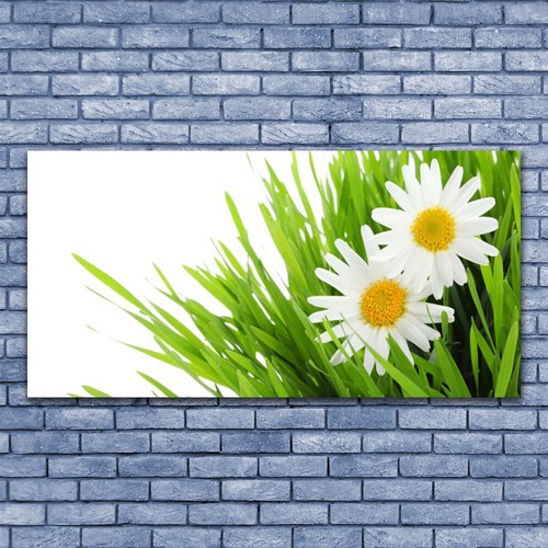 Acrylglasbilder wandbilder - acrylglasbilder,