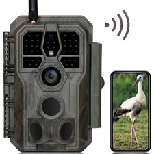 Wildkamera mit WLAN App