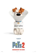 Pets 2 - Max original XXL