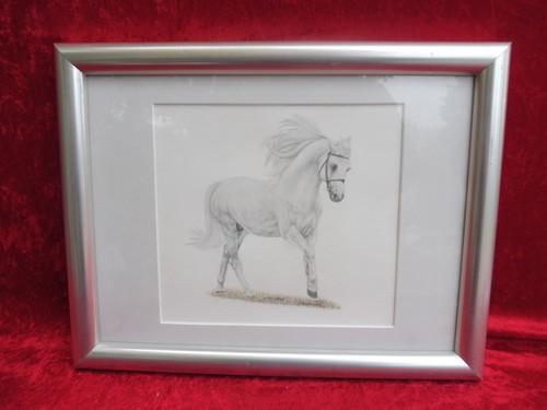Schönes bild pferd - schönes, bild__pferd__original