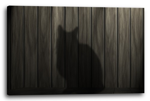 Wandbild katzenschatten - wandbild,