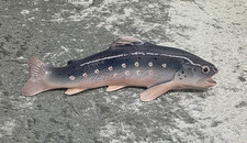 Bing & Grondahl Figur Regenbogenforelle Modell 1803 Top Zustand