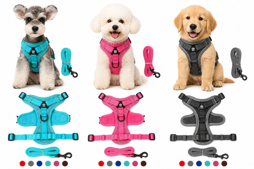 Anti zieh hundegeschirr und - anti,