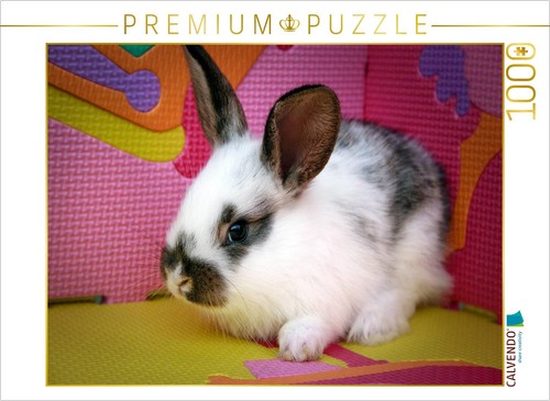Calvendo puzzle lustiges - puzzle,