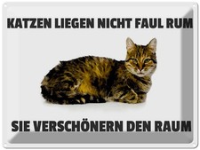 Blechschild 30x40 cm Katzen