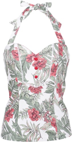 Küstenluder gladys tropical - küstenluder,