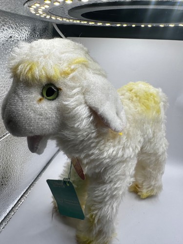 Pristine steiff cosy - cosy, lamby