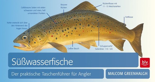 Süßwasserfische der - süßwasserfische:,
