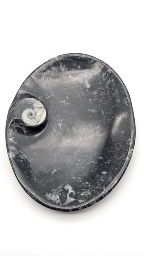 Sm0089 orthoceras seifenschale - sm0089,