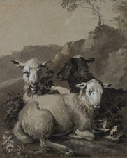 Drei liegende Schafe