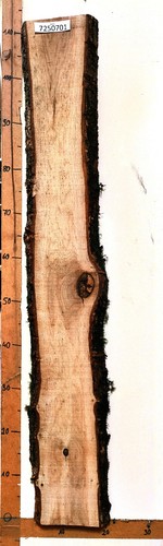 Eiche 50mm 28mm dicke holz - 50mm,,