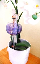 Durstkugel Wasserspender Glas