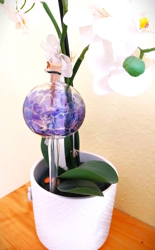 Durstkugel wasserspender glas - wasserspender,