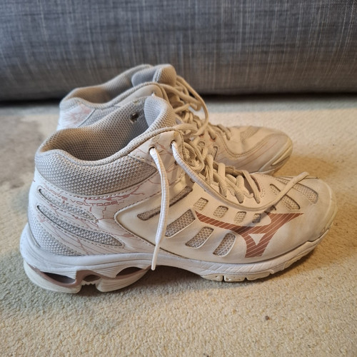 Mizuno wave voltage - voltage, 2