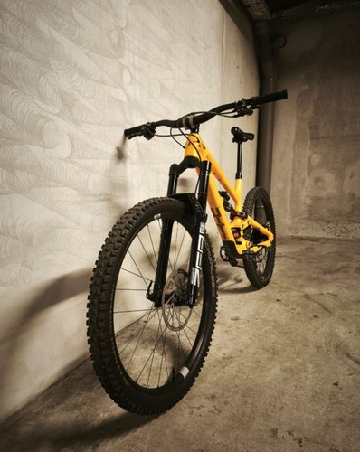 Mtb enduro capra - capra, pro