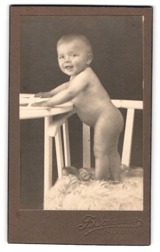 Fotografie schumann - f.,