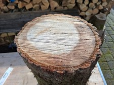 Hauklotz EICHE Natur Höhe ca