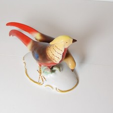 seltene Fasanengruppe