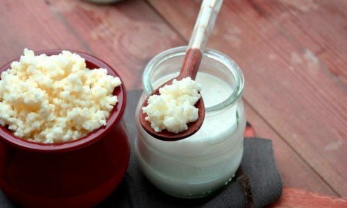 Milchkefir pilz portion - pilz, 1