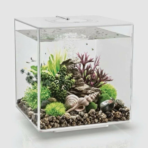 Oase biorb cube nanoaquarium - biorb,