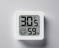 Elektronisches Thermometer und