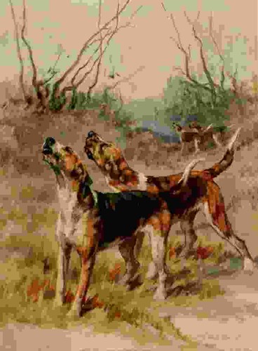 Foto graf maud 1864 1943 - maud,