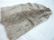 Echter Biber Pelz Biberfell Fell Kanada kanadischer Biber UNBENUTZT 48x30cm