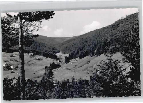Mitteltal - ,