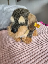 Steiff  Dackel  Raudi 4153/25