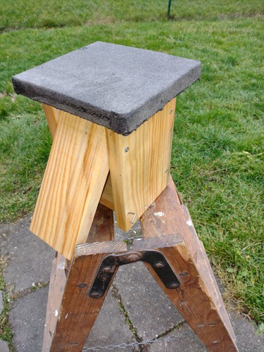 Haselmauskasten haselmaus - haselmauskasten,,