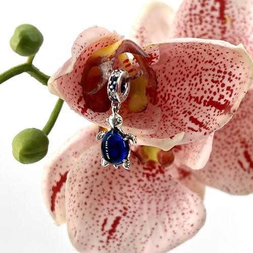 Pandora charm anhänger - pandora,