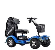 Elektro Golf-Buggy Gm