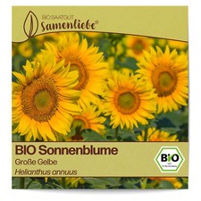 BIO Sonnenblumen Samen Sorte