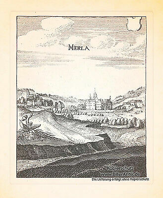 Merla merlau vogelsbergkreis - merla,