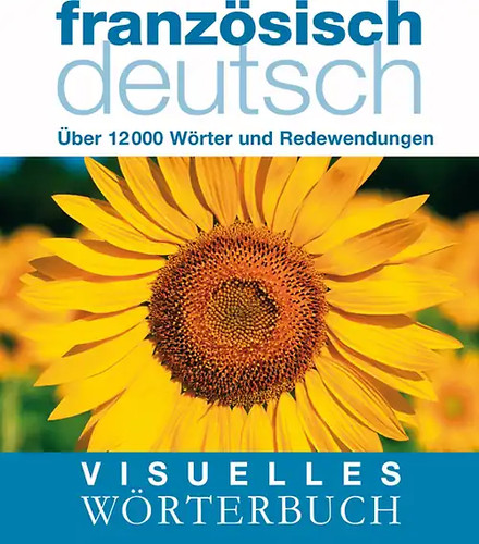 Visuelles wörterbuch - visuelles,