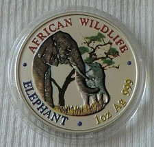 Zambia - African Wildlife