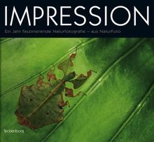 Impression ein jahr - impression:,