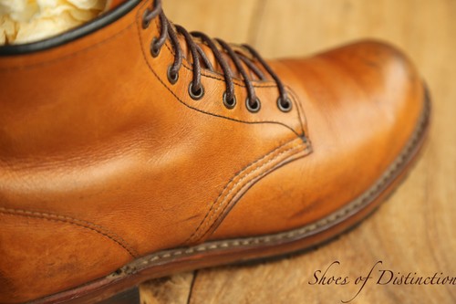 Redwing red wing - wing, 9013