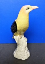 Porzellan figur Vogel, Pirol