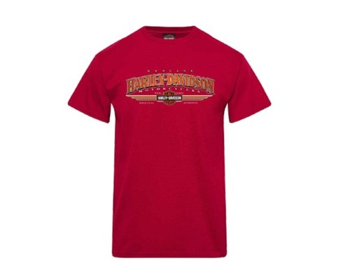 Harley davidson shirt - harley-davidson, t-shirt