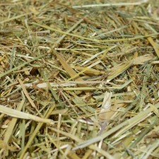 agrar-Store Heu 5Kg 2.Schnitt Grummet Kräuterheu Wiesenheu Kaninchenheu 