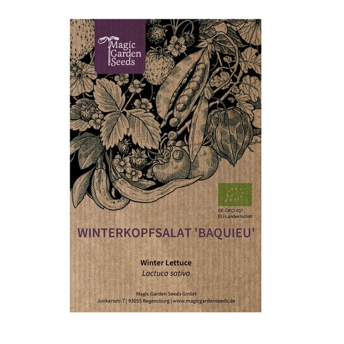 Winterkopfsalat baquieu samen - baquieu,