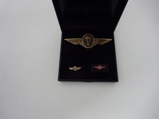 A26-001 Bundeswehr Fallschirmjäger Fallschirmspringer Abzeichen bronze Set Etui