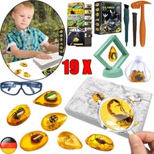 Bernstein Ausgrabungsset für Kinder ab 6 7 8 9 10 Jahren Künstliche Insekt NEU
