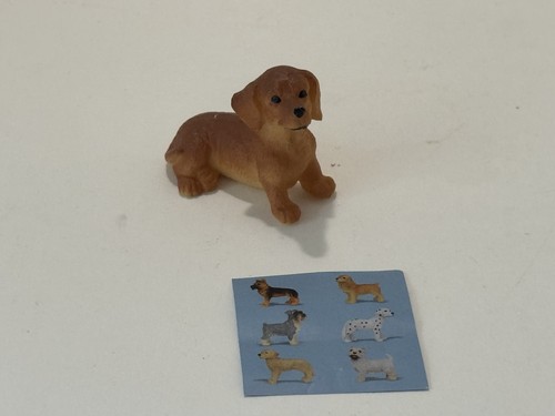 Kidsworld dog sammel hunde - dog,