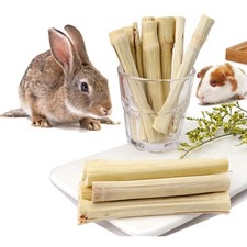 Haustier Kaninchen Spielzeug