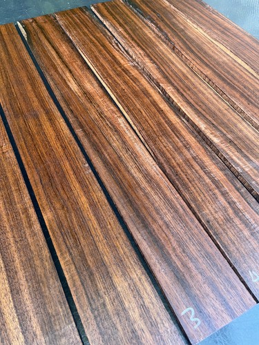 Indian laurel saitige - indian, 5-saitige