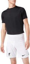 Nike Herren Fußballshorts